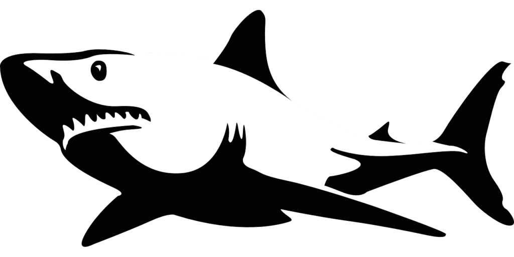 Illustration of a shark.
