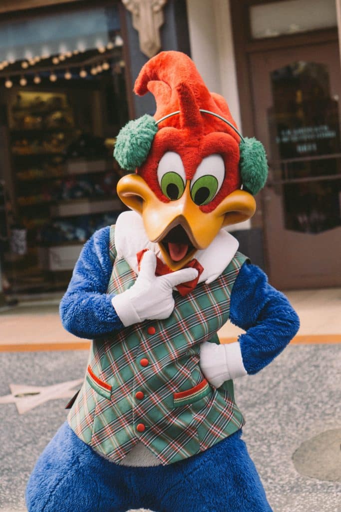 Photo of a person dressed up as Woody Woodpecker