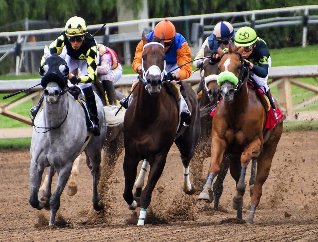Horses in a race