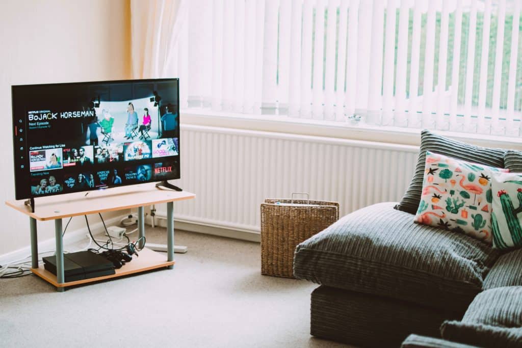 Turned-on Flat Screen Smart Television Displaying Bojack Horseman on Netflix