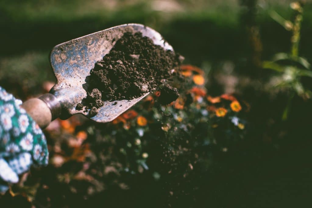 Close up of a shovel with dirt on it.
