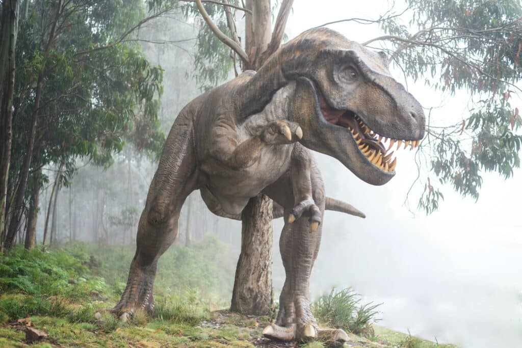 Illustration of a tyrannosaurus rex