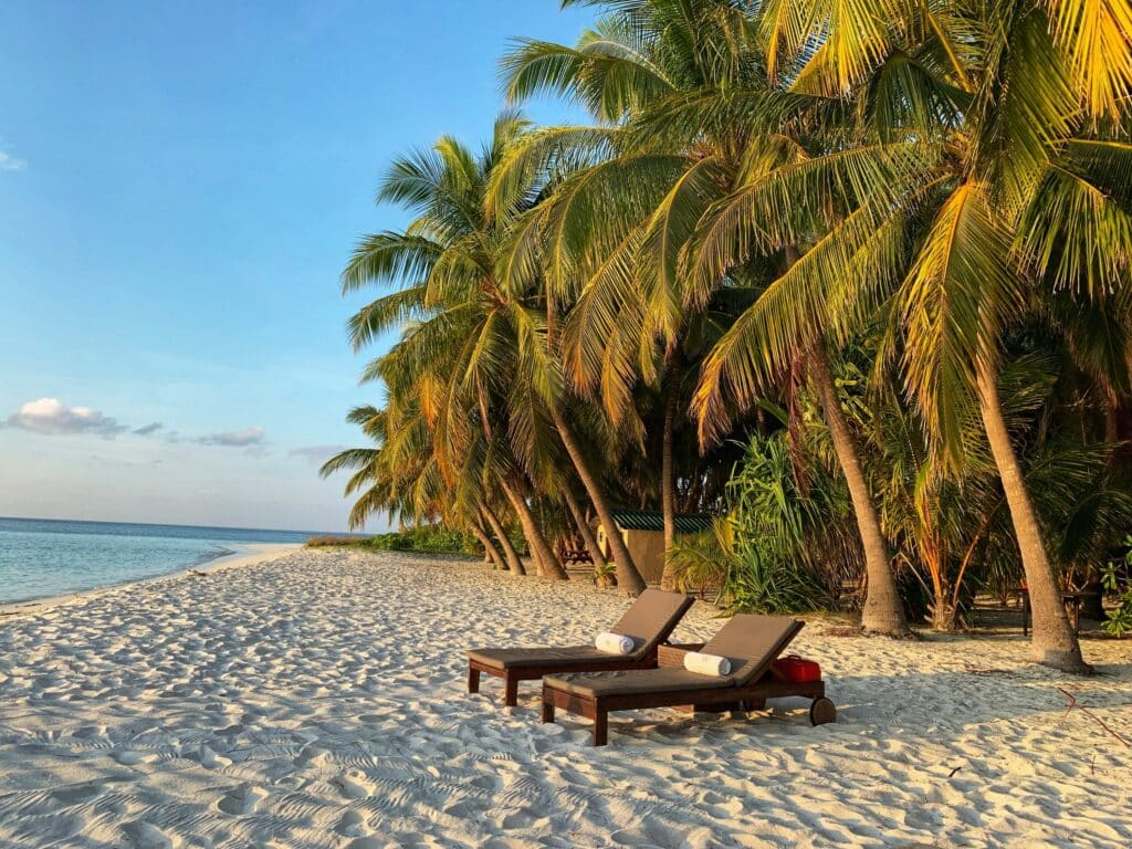 Photo of two brown lounge chairs on a beach surrounded by palm trees.