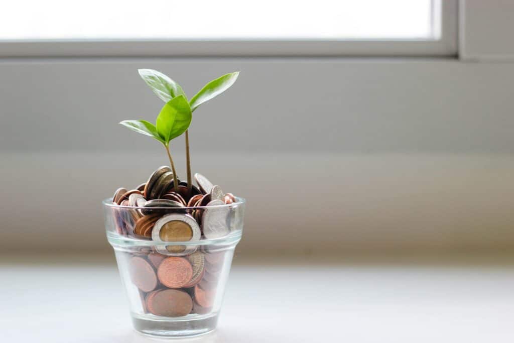 Photo of a small green plant growing in a glass pot filled with coins, in front of a window and white wall.