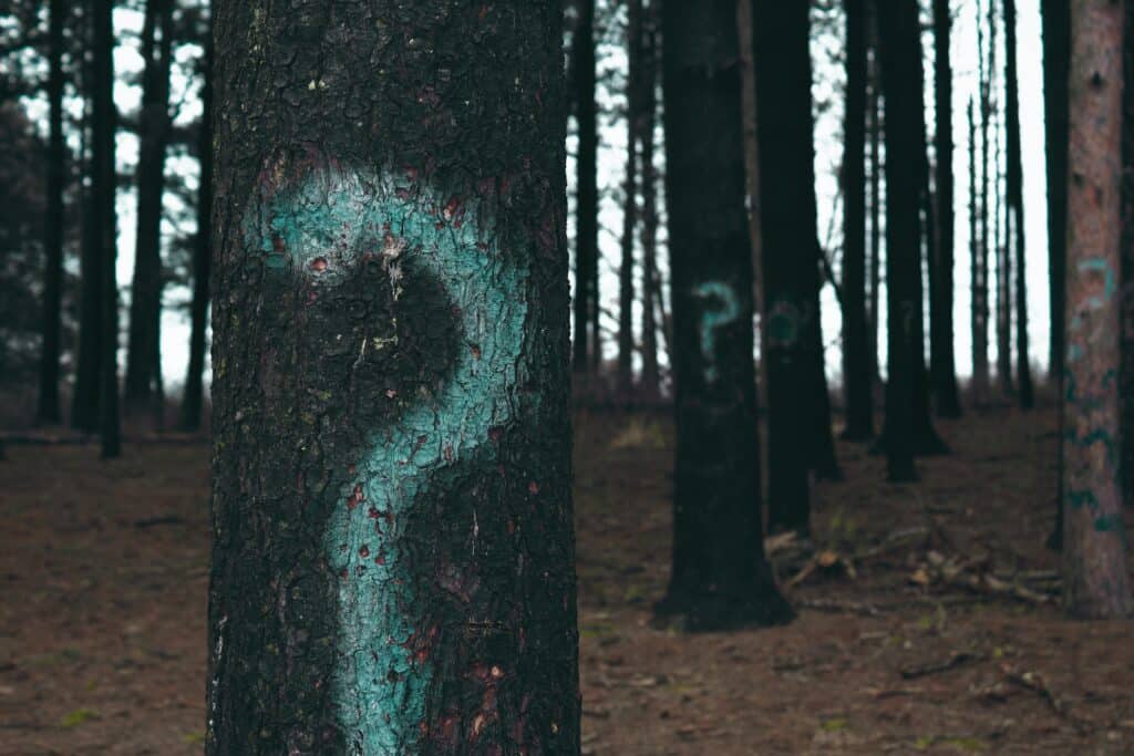 Photo of green question marks spray painted onto trees.
