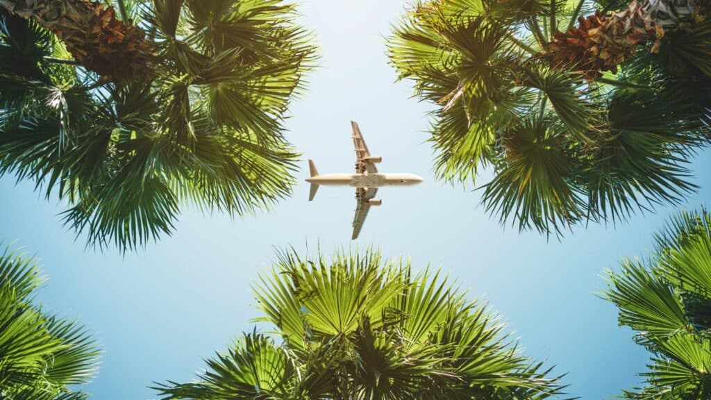 commercial airplane flying overhead above trees