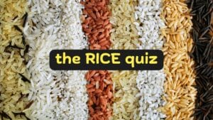 rice grains, text